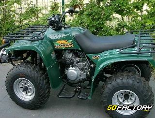 quad 250 puma