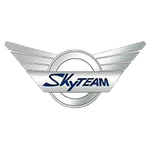 logo Skyteam panne