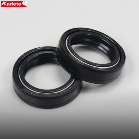 Ariete oil seals