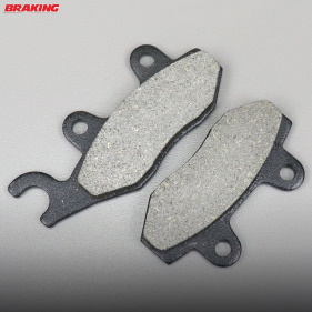 Plaquettes de frein Braking