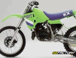 Kawasaki 250KX