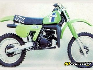 Kawasaki 250KX