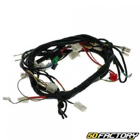 Complete electrical harness Peugeot Kisbee 50cc 2T and 4T