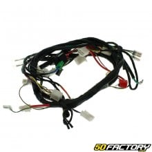 Complete electrical harness Peugeot Kisbee 50cc 2T and 4T ...