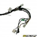 Complete electrical harness Peugeot Kisbee 50cc 2T and 4T