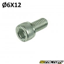 Tornillo de 6x12 mm cabeza BTR (por unidad)