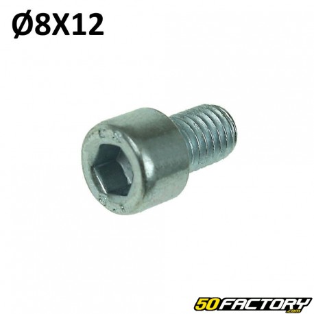 M8x12mm BTR tornillo de cabeza