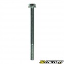 Tornillo de cabeza hexagonal M6x85mm