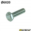 Screw M6x20mm hexagonal head without flange