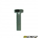 Screw M6x20mm hexagonal head without flange