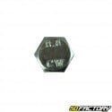 Screw M6x20mm hexagonal head without flange