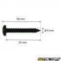 Crosshead screw 4x25mm Phillips head