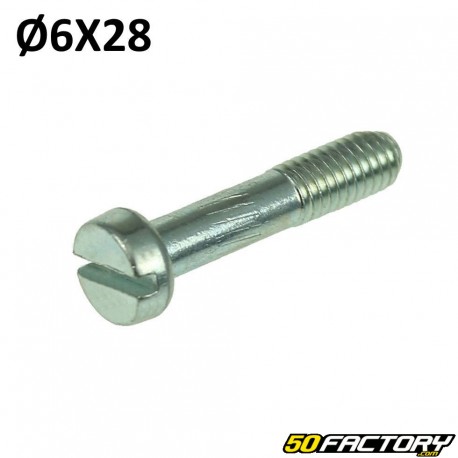 Carburettor nicklace screw SHA 6mm