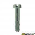 Carburettor nicklace screw SHA 6mm