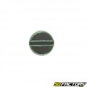 Carburettor nicklace screw SHA 6mm