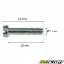 Carburettor nicklace screw SHA 6mm