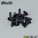 Pack 10 6x20mm screw black tuning