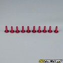 Pack 10 6x20mm screw red tuning