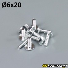 Pack 10 6x20mm screw tuning silver gray