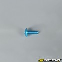 Pack 10 6x20mm screw tuning blue