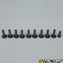 Pack 10 5x20mm screw black tuning