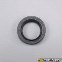 Fork oil seal and dust cover 27x39x10.5 mm TNT Motor Roma,  Strada...