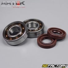 Crankshaft bearings and crankshaft joints C4 Derbi Artek