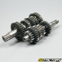 Gearbox AM6 Minarelli V1