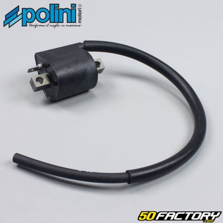 Coils AM6  et  Derbi digital ignition Polini