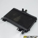 Radiateur Honda NSR 125 (1994 - 2002)