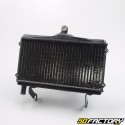 Radiateur Honda NSR 125 (1994 - 2002)