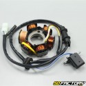 Stator d'allumage Peugeot Speedfight, Tkr, Vivacity, Zenith... 50