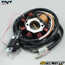 Ignition Stator  Nitro,  Ovetto,  Beta v1 ...