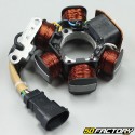 Ignition Stator  Aprilia,  Derbi, Italjet, Piaggio  et  Vespa  50