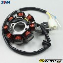 Ignition Stator  Sym Orbit,  Orbit 2 and Jet 50 2T