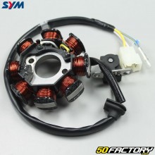 Ignition Stator  Sym Orbit 2 and Jet 50 4T