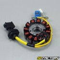 Ignition Stator  Piaggio  et  Vespa 125, 150