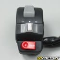 Interruptor controle esquerdo Kymco Agility 50, 125 ...