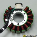 Stator d'allumage Yamaha Majesty et Mbk Skyliner 125