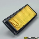 Air filter Sym