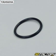 Mbk Oil Pump Seal Booster  et  Yamaha Bw&#39;s ...