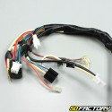 MBK wiring harness Booster,  Yamaha Bws (before 2004)