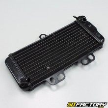 Radiator Yamaha TDR 125 1993 to 2003