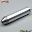 Exhaust silencer aluminum Giannelli Enduro Hm Honda 50