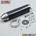 Silencieux d'échappement carbone Giannelli Street RS, TZR, Xpower, Xr6