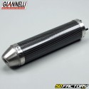 Silencieux d'échappement carbone Giannelli Street RS, TZR, Xpower, Xr6