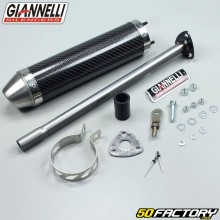 Silenziatore di scarico in carbonio Giannelli Street Derbi GPR  et  Aprilia  RS