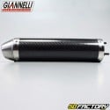 Carbon exhaust silencer Giannelli Street Aprilia RS4  et  Derbi Gpr since 2011