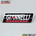 Silencieux d'échappement carbone Giannelli Street Aprilia RS4 et Derbi Gpr depuis 2011