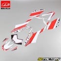 Deco kit red and white origin Beta  RR  Track since 2011